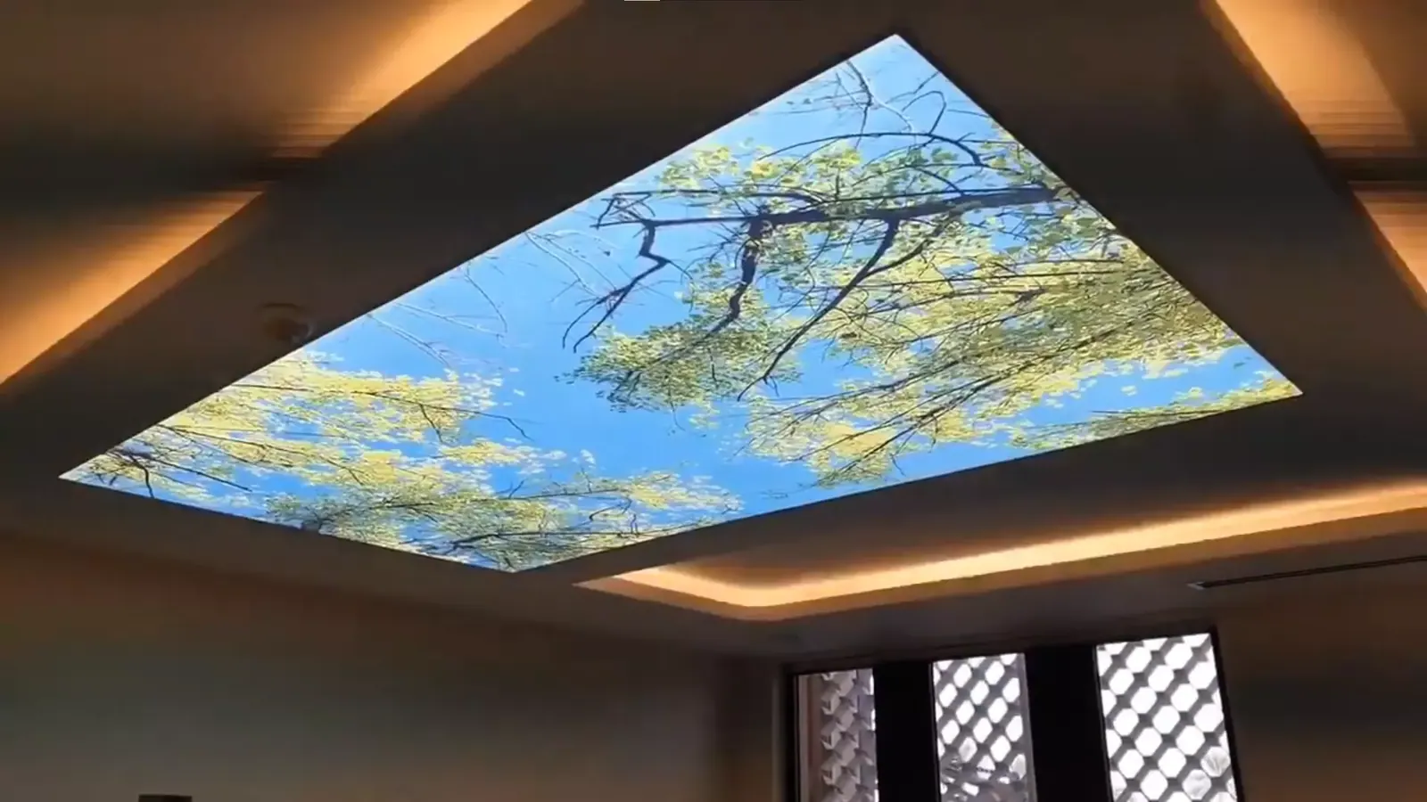 3D натяжной потолок — Архангельск, Партизанская, 66 к1, фото 1